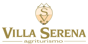 logo-villa-serena-1